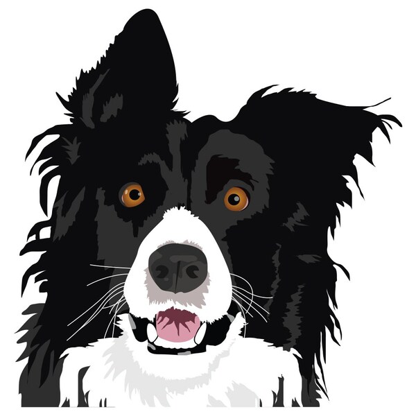 Signmission Border Collie Dog Decal, Dog Lover Decor Vinyl Sticker D-12-Border Collie - main
